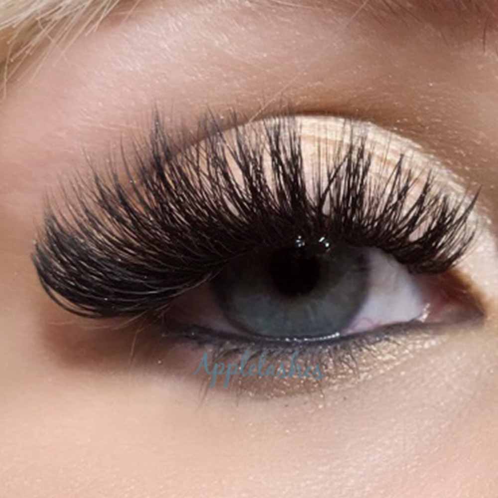 Eye Lash Gallery